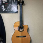 Aria A-58CWE/M (アリア A58CWE コンデンサマイク搭載エレガット)